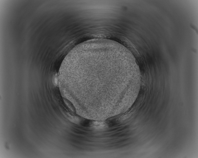 X0000097660095200803281000
