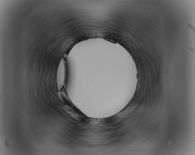 X0000097660096200803281000