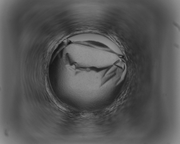 X0000097660097200803281000