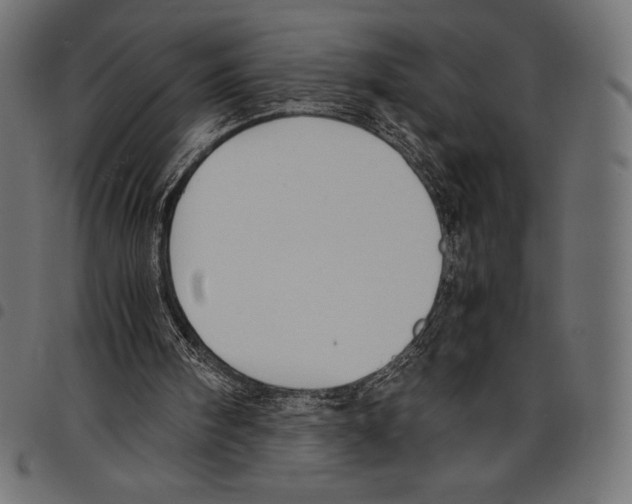 X0000097660098200803280959