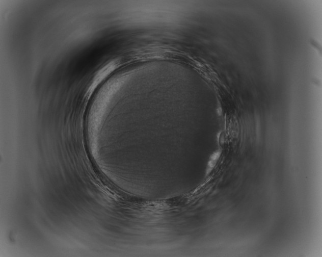 X0000097660099200803280959