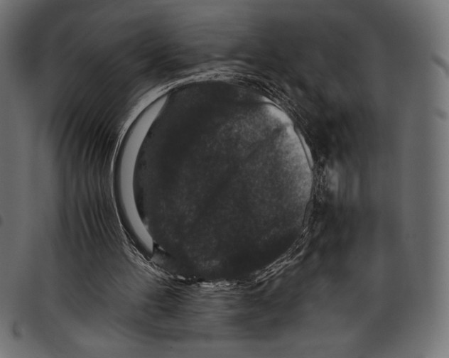 X0000097660100200803280959
