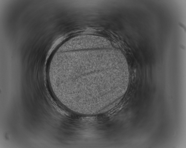 X0000097660102200803280959