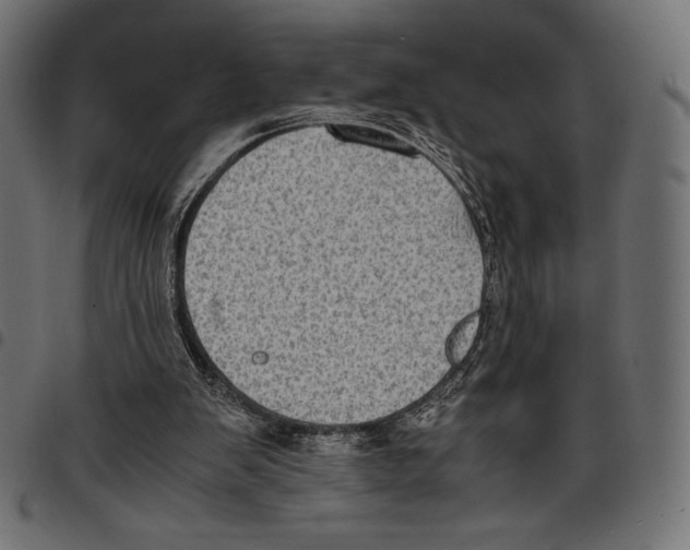 X0000097660103200803280959