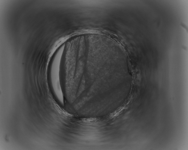 X0000097660104200803280959