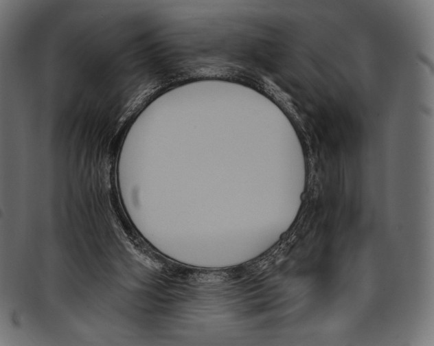 X0000097660106200803280959