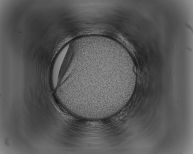 X0000097660107200803280959