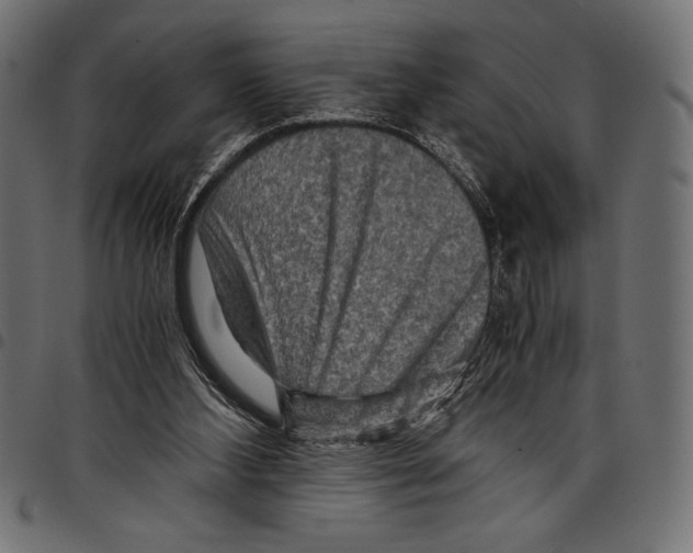 X0000097660108200803280959