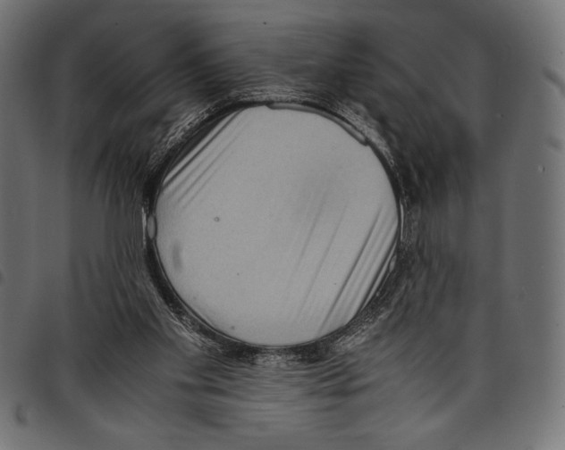 X0000097660109200803280959
