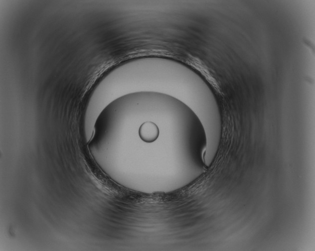 X0000097660110200803280959