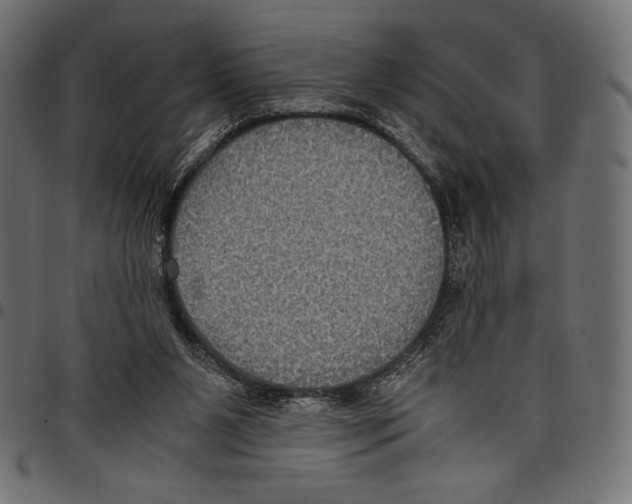 X0000097660111200803280959