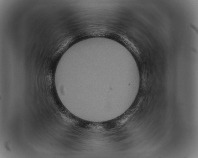 X0000097660113200803280959