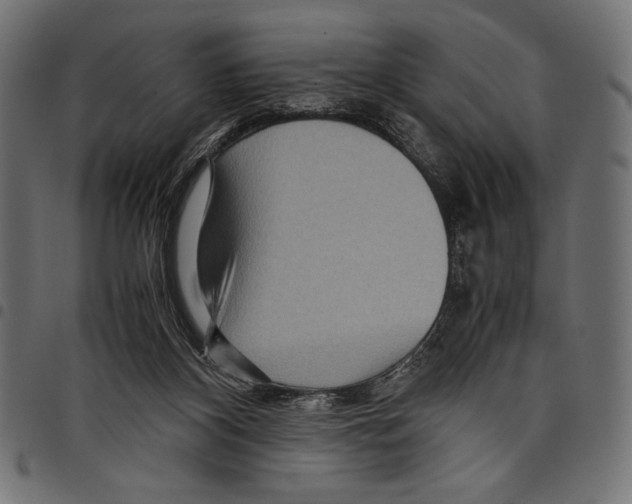 X0000097660116200803280959