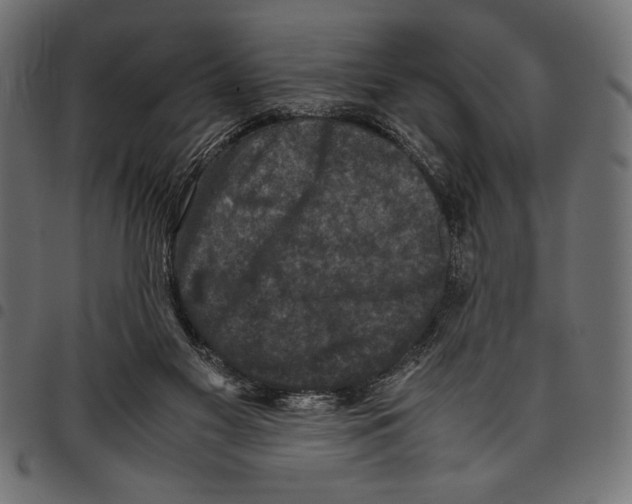 X0000097660117200803280959