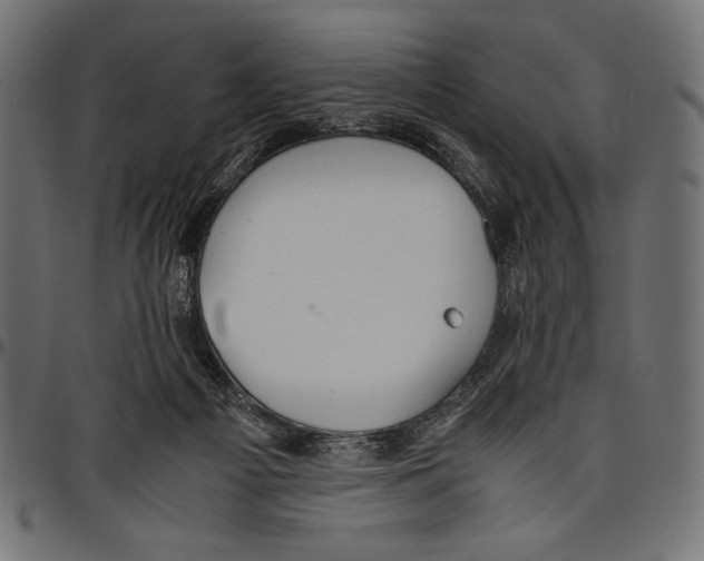X0000097660121200803280959
