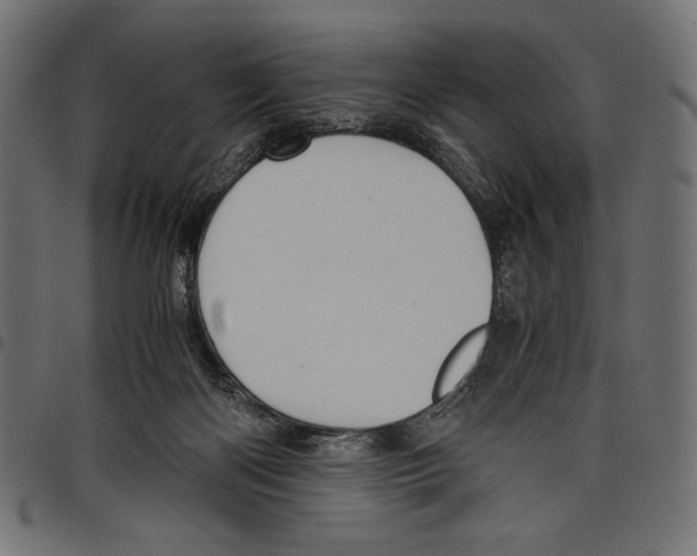 X0000097660122200803280959