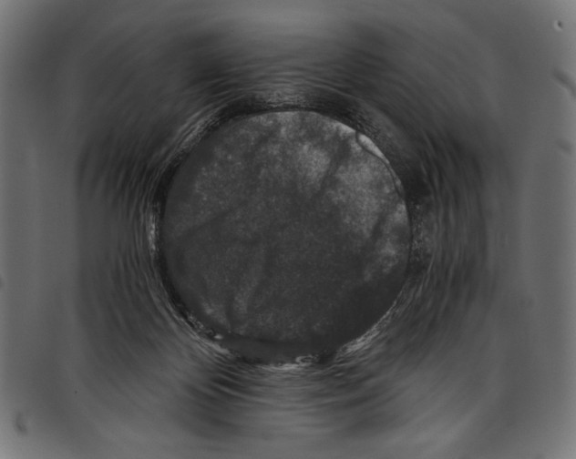 X0000097660124200803280959