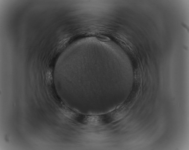 X0000097660127200803280959
