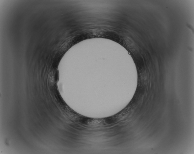 X0000097660129200803280959
