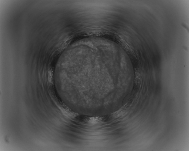 X0000097660130200803280959