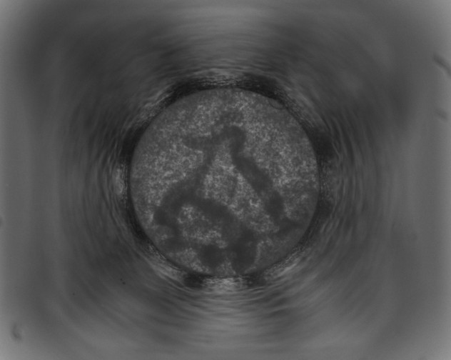 X0000097660131200803280959