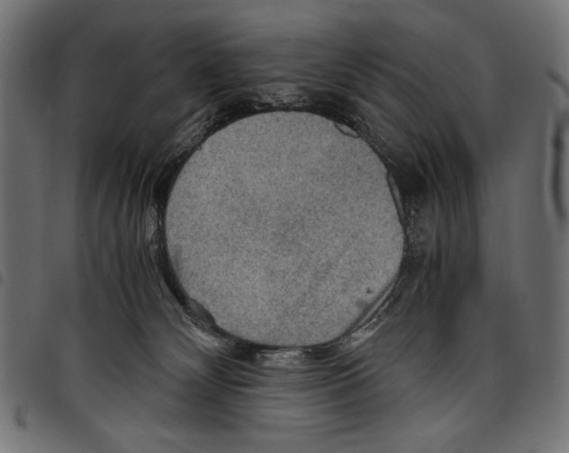 X0000097660132200803280959