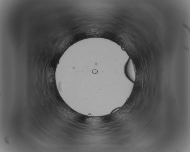 X0000097660133200803280959