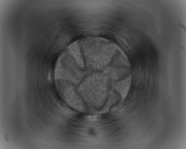 X0000097660134200803280959