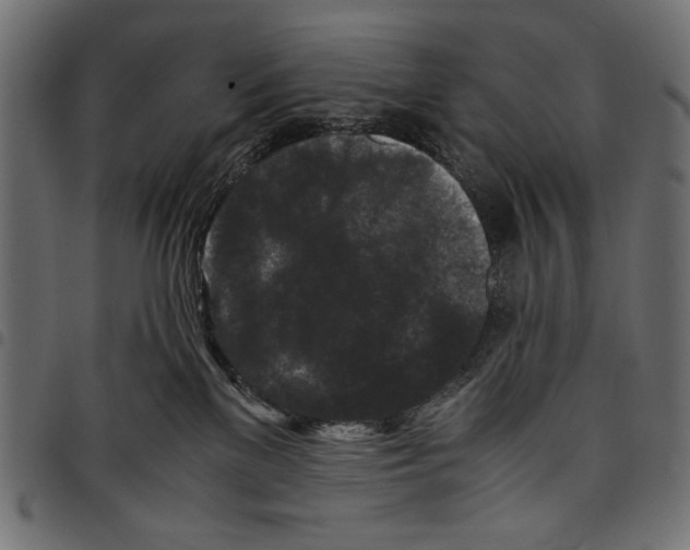 X0000097660137200803280959