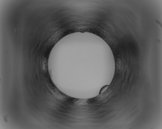 X0000097660138200803280959