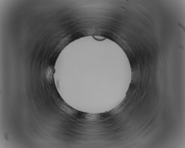 X0000097660142200803280959