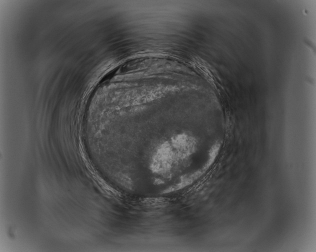 X0000097660145200803280958