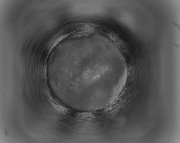 X0000097660146200803280958