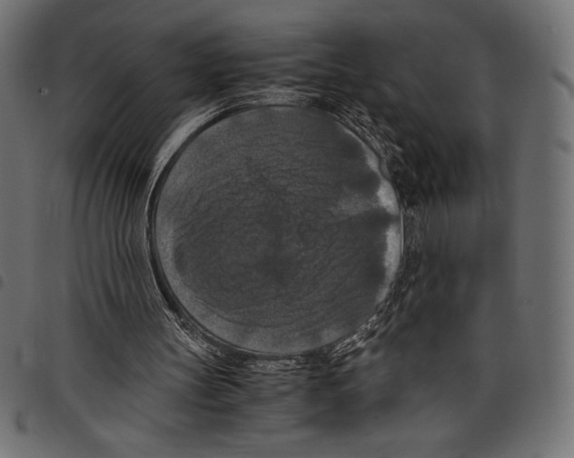 X0000097660147200803280958