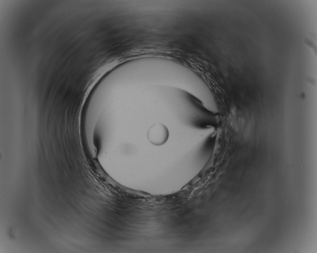 X0000097660148200803280958