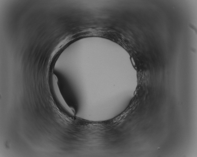 X0000097660150200803280958