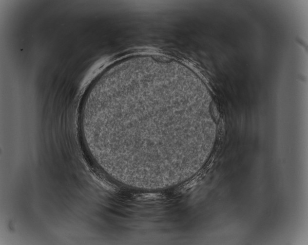 X0000097660151200803280958