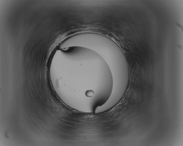 X0000097660152200803280958