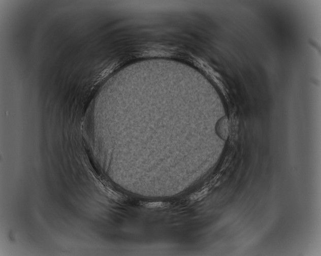 X0000097660153200803280958