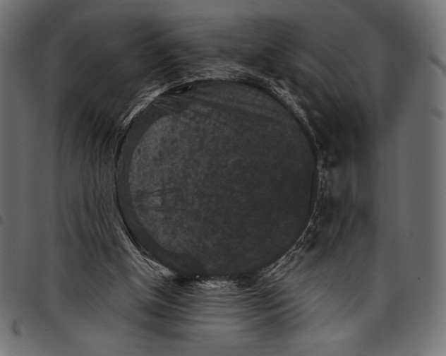 X0000097660154200803280958