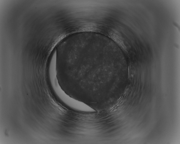 X0000097660156200803280958