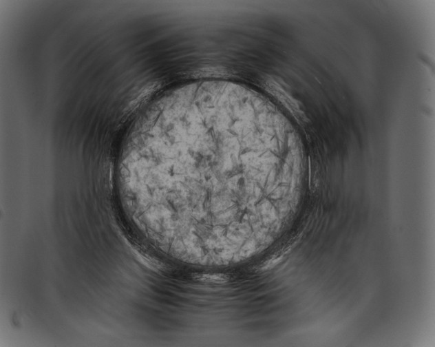X0000097660157200803280958