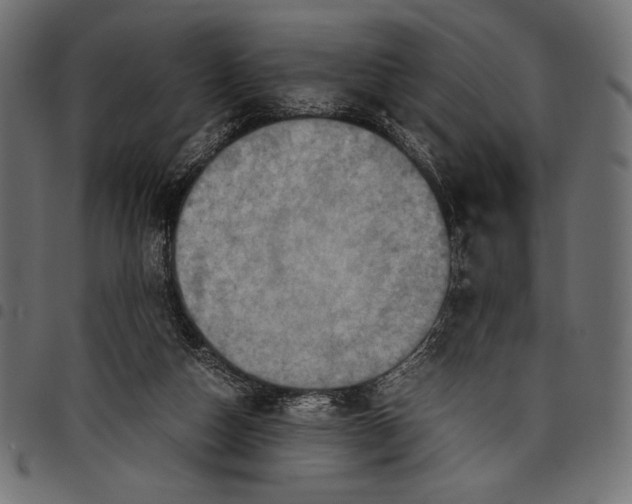 X0000097660162200803280958