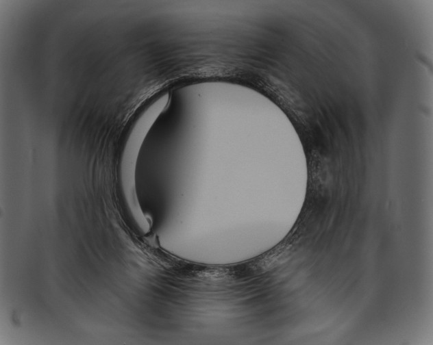 X0000097660164200803280958