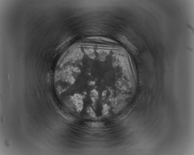 X0000097660165200803280958