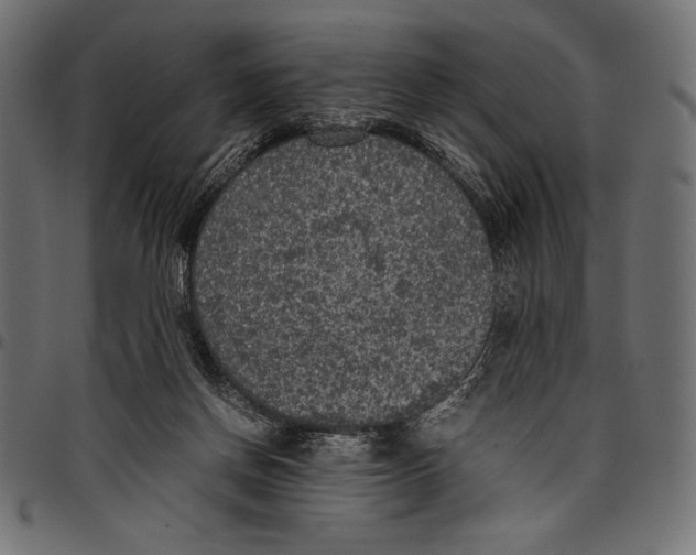 X0000097660166200803280958