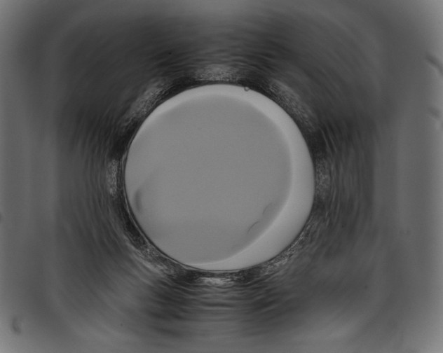 X0000097660167200803280959