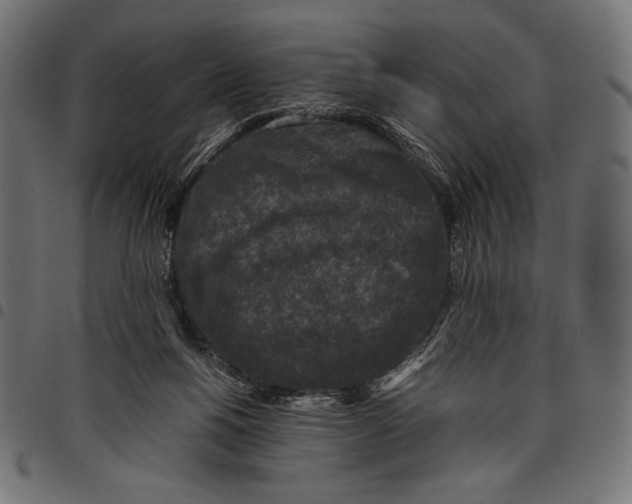 X0000097660168200803280959