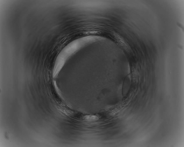 X0000097660169200803280959