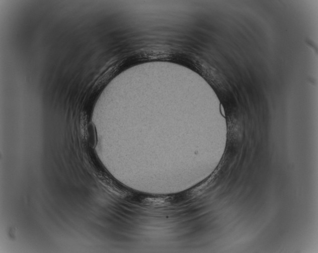 X0000097660170200803280959